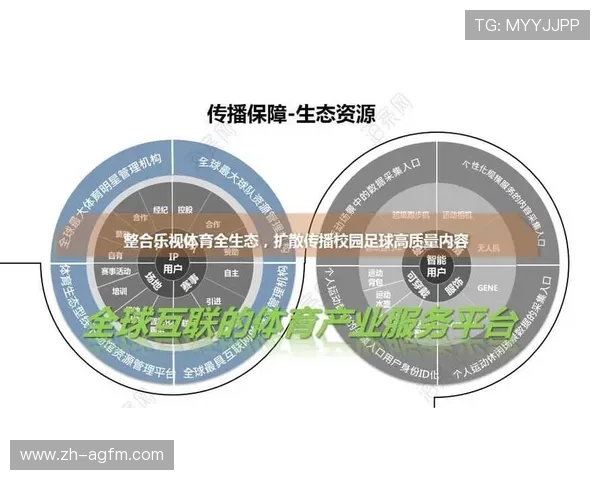 足球赛事中的商业化与市场策略